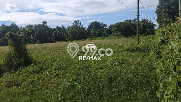 Tanah Dijual Lokasi Kabat, Banyuwangi dengan Luas Tanah 22638m2 dan Status SHM Tanah Dijual Lokasi Kabat, Banyuwangi dengan Luas Tanah 22638m2 dan Status SHM