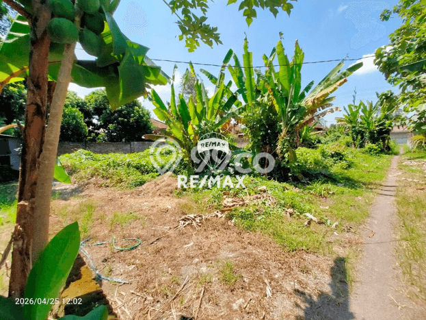 Lahan untuk Dijual Lokasi Gambiran, Banyuwangi Luas 3100m2 SHM Lahan untuk Dijual Lokasi Gambiran, Banyuwangi Luas 3100m2 SHM