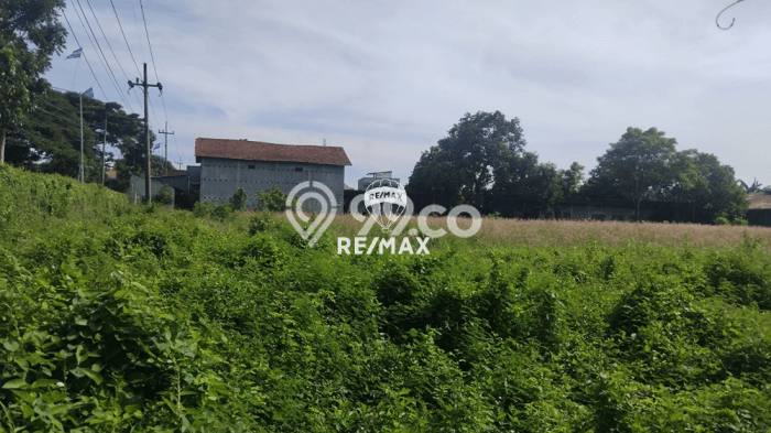 Tanah Dijual Lokasi Kabat, Banyuwangi dengan Luas Tanah 22638m2 dan Status SHM Tanah Dijual Lokasi Kabat, Banyuwangi dengan Luas Tanah 22638m2 dan Status SHM