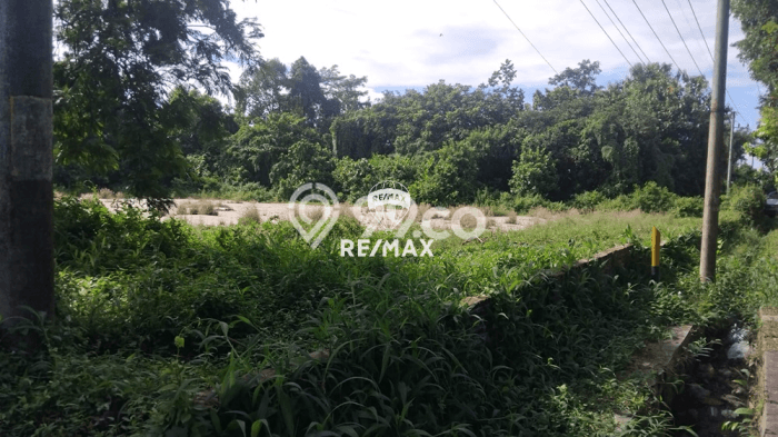 Tanah Dijual Lokasi Kabat, Banyuwangi dengan Luas Tanah 22638m2 dan Status SHM Tanah Dijual Lokasi Kabat, Banyuwangi dengan Luas Tanah 22638m2 dan Status SHM