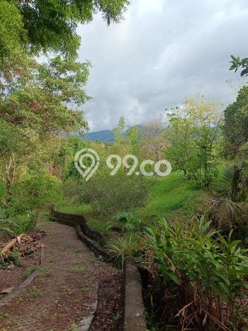 Tanah Kavling untuk Dijual di Sukasada Buleleng 5700m2 Tanah Kavling untuk Dijual di Sukasada Buleleng 5700m2