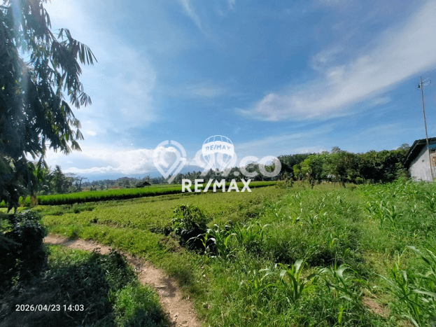 Kavling Tanah Dijual di Glagah Banyuwangi Spesifikasi 3628m2 Kavling Tanah Dijual di Glagah Banyuwangi Spesifikasi 3628m2
