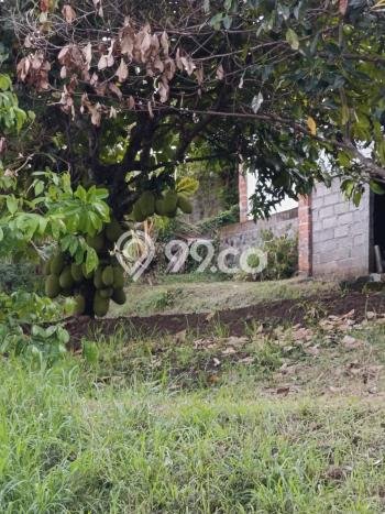 Tanah Kavling untuk Dijual di Sukasada Buleleng 5700m2 Tanah Kavling untuk Dijual di Sukasada Buleleng 5700m2