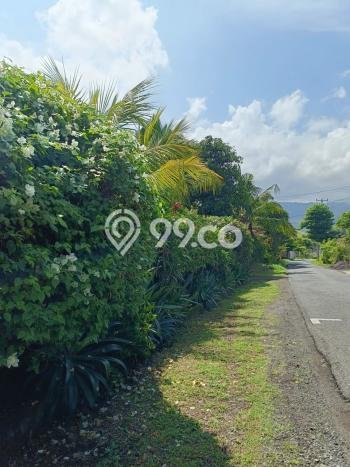Tanah Kavling untuk Dijual di Sukasada Buleleng 5700m2 Tanah Kavling untuk Dijual di Sukasada Buleleng 5700m2