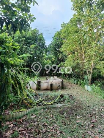 Tanah Kavling untuk Dijual di Sukasada Buleleng 5700m2 Tanah Kavling untuk Dijual di Sukasada Buleleng 5700m2