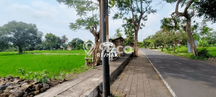 Tanah Dijual Lokasi Giri, Banyuwangi Luas 7000m2 Legalitas Aman Tanah Dijual Lokasi Giri, Banyuwangi Luas 7000m2 Legalitas Aman