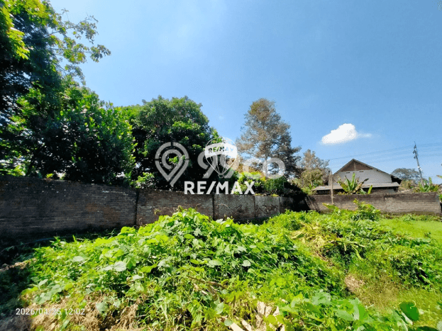 Lahan untuk Dijual Lokasi Gambiran, Banyuwangi Luas 3100m2 SHM Lahan untuk Dijual Lokasi Gambiran, Banyuwangi Luas 3100m2 SHM