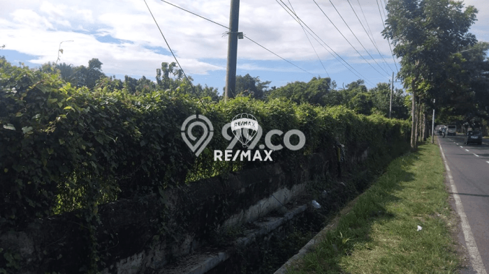 Tanah Dijual Lokasi Kabat, Banyuwangi dengan Luas Tanah 22638m2 dan Status SHM Tanah Dijual Lokasi Kabat, Banyuwangi dengan Luas Tanah 22638m2 dan Status SHM