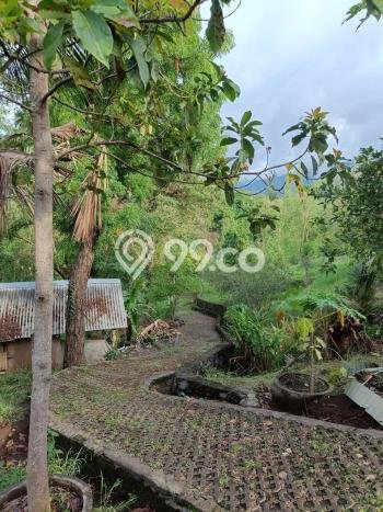 Tanah Kavling untuk Dijual di Sukasada Buleleng 5700m2 Tanah Kavling untuk Dijual di Sukasada Buleleng 5700m2