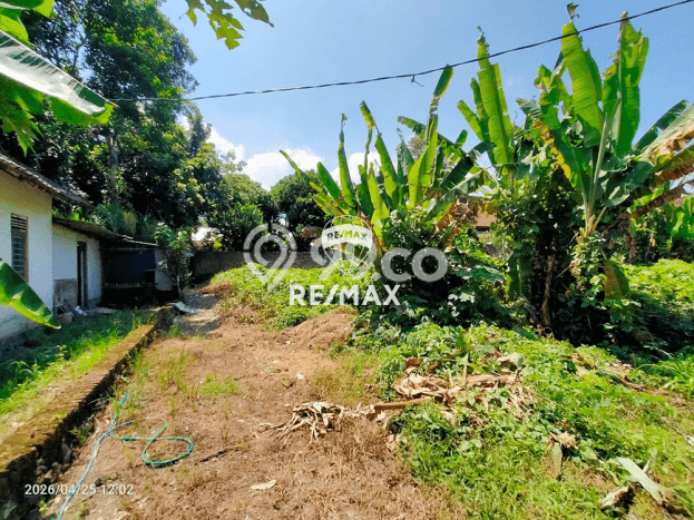 Lahan untuk Dijual Lokasi Gambiran, Banyuwangi Luas 3100m2 SHM Lahan untuk Dijual Lokasi Gambiran, Banyuwangi Luas 3100m2 SHM