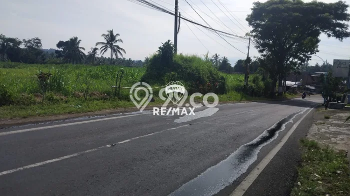 Tanah Komersial Dijual di Licin Banyuwangi 10823m2 Tanah Komersial Dijual di Licin Banyuwangi 10823m2