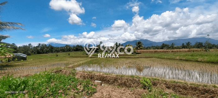 Lahan untuk Dijual Lokasi Licin, Banyuwangi Luas 9000m2 SHM Lahan untuk Dijual Lokasi Licin, Banyuwangi Luas 9000m2 SHM