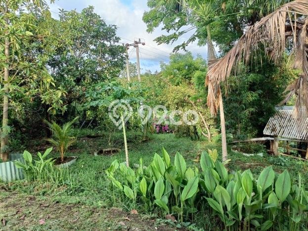 Tanah Kavling untuk Dijual di Sukasada Buleleng 5700m2 Tanah Kavling untuk Dijual di Sukasada Buleleng 5700m2