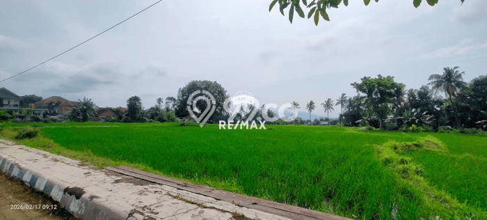 Tanah Dijual Lokasi Giri, Banyuwangi Luas 7000m2 Legalitas Aman Tanah Dijual Lokasi Giri, Banyuwangi Luas 7000m2 Legalitas Aman