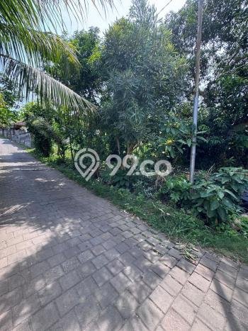 Tanah Dijual di Badung Seluas 1000m2 Strategis Tanah Dijual di Badung Seluas 1000m2 Strategis