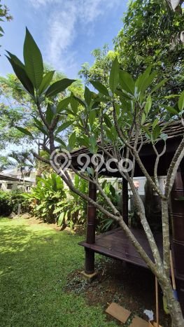 For Sale! Luxury House LT 352m2 Desain Elegan di Citra Grand For Sale! Luxury House LT 352m2 Desain Elegan di Citra Grand