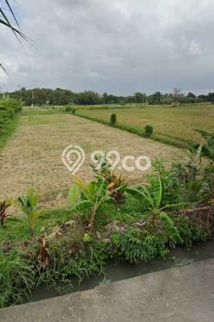 Lahan Kosong Dijual di Tabanan, Tabanan, Luas 1025m2 Area Strategis Lahan Kosong Dijual di Tabanan, Tabanan, Luas 1025m2 Area Strategis