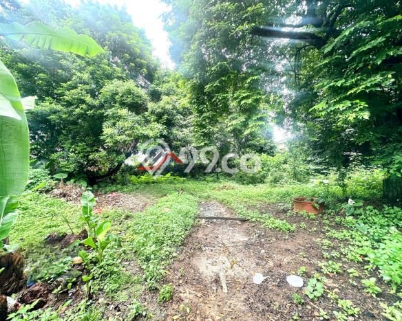 Siap Huni Rumah Mewah 0 Kamar di Cilandak Dekat ke Mana Saja Siap Huni Rumah Mewah 0 Kamar di Cilandak Dekat ke Mana Saja