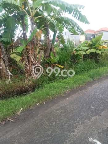 Tanah Kavling Dijual di Sanur, Denpasar dengan Luas Tanah 600m2 Tanah Kavling Dijual di Sanur, Denpasar dengan Luas Tanah 600m2