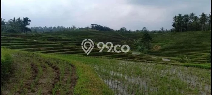 Lahan Dijual Lokasi Penebel, Tabanan dengan Luas Tanah 8720m2 dan Status SHM Lahan Dijual Lokasi Penebel, Tabanan dengan Luas Tanah 8720m2 dan Status SHM