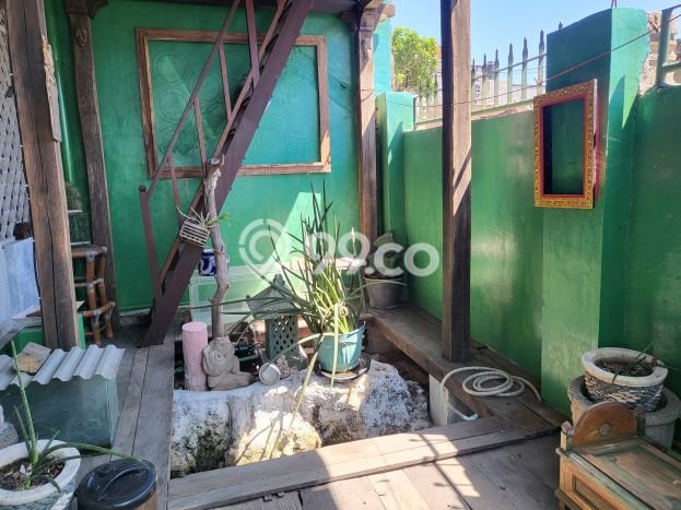 Rumah Luas Asri 4 KT Siap Pakai di Nusa Dua Badung Rumah Luas Asri 4 KT Siap Pakai di Nusa Dua Badung