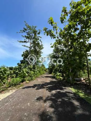Lahan Disewakan Lokasi Jimbaran Badung Luas 26663m2 Lahan Disewakan Lokasi Jimbaran Badung Luas 26663m2
