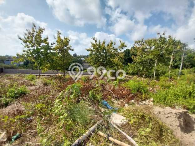Tanah Kavling Dijual di Badung dengan Spesifikasi 2850m2 Tanah Kavling Dijual di Badung dengan Spesifikasi 2850m2