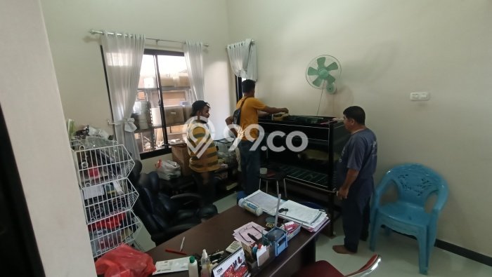 Hunian Elit LB 200m2 Siap Pakai Desain Elegan di Darmo Permai, Surabaya Hunian Elit LB 200m2 Siap Pakai Desain Elegan di Darmo Permai, Surabaya