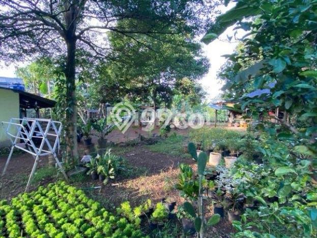 Tanah Dijual Lokasi Gunung Sindur, Bogor dengan Luas Tanah 953m2 dan Status SHM Tanah Dijual Lokasi Gunung Sindur, Bogor dengan Luas Tanah 953m2 dan Status SHM