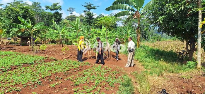 Kavling Tanah di Gringsing Dijual Luas 255000m2 Legalitas - Kavling Tanah di Gringsing Dijual Luas 255000m2 Legalitas -
