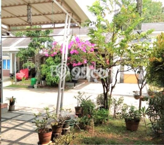Dijual Rumah Strategis Bagus Punya 3 KT di Gunung Sindur Bogor SHM Dijual Rumah Strategis Bagus Punya 3 KT di Gunung Sindur Bogor SHM