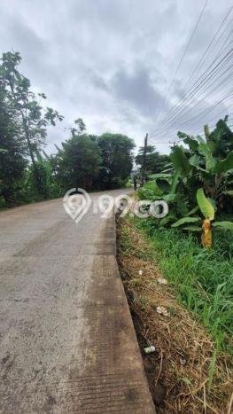 Tanah Dijual Lokasi Gunung Sindur, Bogor Luas 8000m2 Legalitas Aman Tanah Dijual Lokasi Gunung Sindur, Bogor Luas 8000m2 Legalitas Aman