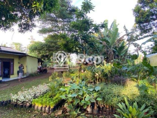 Tanah Dijual Lokasi Gunung Sindur, Bogor dengan Luas Tanah 953m2 dan Status SHM Tanah Dijual Lokasi Gunung Sindur, Bogor dengan Luas Tanah 953m2 dan Status SHM