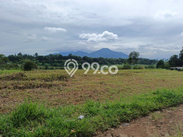 Lahan Investasi Lokasi Jatinangor Sumedang SHM Lahan Investasi Lokasi Jatinangor Sumedang SHM