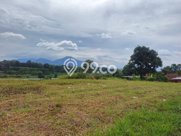 Lahan Investasi Lokasi Jatinangor Sumedang SHM Lahan Investasi Lokasi Jatinangor Sumedang SHM