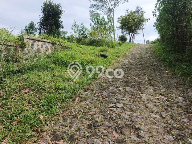 Lahan Investasi Lokasi Jatinangor Sumedang SHM Lahan Investasi Lokasi Jatinangor Sumedang SHM