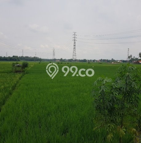 Jarang Ada! Tanah di Klari Punya Luas 21m2 SHM Jarang Ada! Tanah di Klari Punya Luas 21m2 SHM