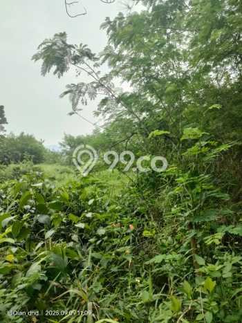 Lahan Dijual Lokasi Strategis di Bogor dengan Luas 889m2 Lahan Dijual Lokasi Strategis di Bogor dengan Luas 889m2
