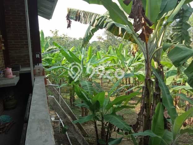 Tanah Kavling di Kebakkramat Dijual dengan Luas 1317m2 Tanah Kavling di Kebakkramat Dijual dengan Luas 1317m2