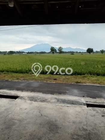 Dijual Rumah Murah di Kebakkramat Karanganyar Harga Rp 240 Juta LT 190m2 Dijual Rumah Murah di Kebakkramat Karanganyar Harga Rp 240 Juta LT 190m2