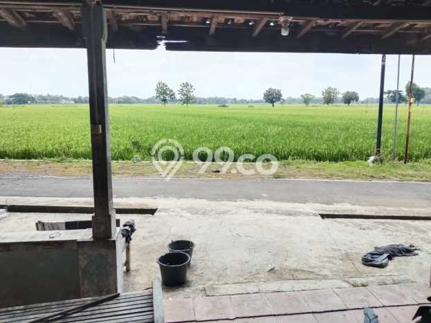 Dijual Rumah Murah di Kebakkramat Karanganyar Harga Rp 240 Juta LT 190m2 Dijual Rumah Murah di Kebakkramat Karanganyar Harga Rp 240 Juta LT 190m2