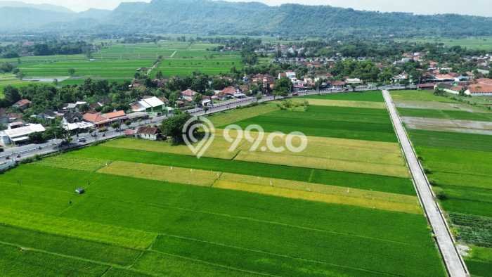 Jarang Ada! Tanah di Prambanan Punya Luas 2460m2 SHM Jarang Ada! Tanah di Prambanan Punya Luas 2460m2 SHM