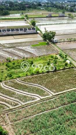 Tanah Kavling untuk Dijual di Karanganyar Karanganyar 2585m2 Tanah Kavling untuk Dijual di Karanganyar Karanganyar 2585m2