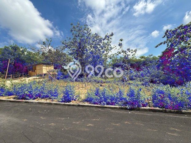 Tanah Dijual di Badung Seluas 200m2 Strategis Tanah Dijual di Badung Seluas 200m2 Strategis
