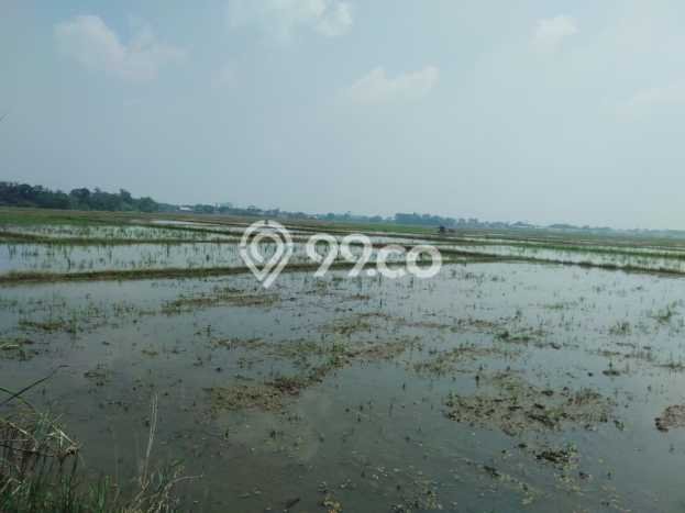 Tanah Dijual Lokasi Karawang Barat, Karawang dengan Luas Tanah 500000m2 dan Status SHM Tanah Dijual Lokasi Karawang Barat, Karawang dengan Luas Tanah 500000m2 dan Status SHM