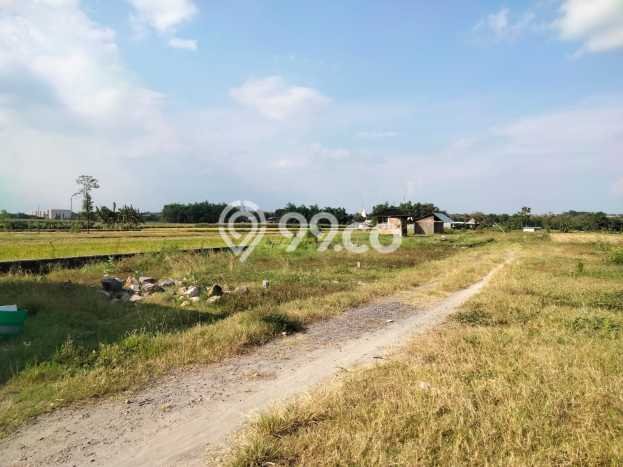 Jual Rumah Siap Huni di Ngemplak Boyolali Harga Rp 246 Juta LT 95m2 Jual Rumah Siap Huni di Ngemplak Boyolali Harga Rp 246 Juta LT 95m2