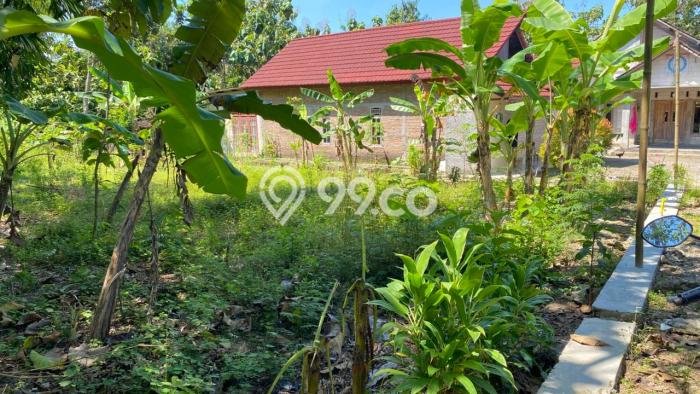 Tanah untuk Dijual Lokasi Kalijambe, Sragen Luas 202m2 - Tanah untuk Dijual Lokasi Kalijambe, Sragen Luas 202m2 -