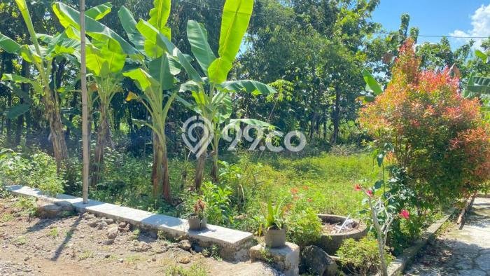 Tanah untuk Dijual Lokasi Kalijambe, Sragen Luas 202m2 - Tanah untuk Dijual Lokasi Kalijambe, Sragen Luas 202m2 -