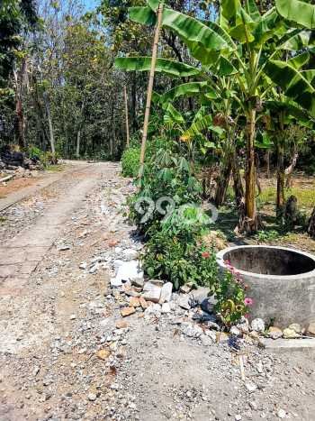 Tanah untuk Dijual Lokasi Kalijambe, Sragen Luas 202m2 - Tanah untuk Dijual Lokasi Kalijambe, Sragen Luas 202m2 -