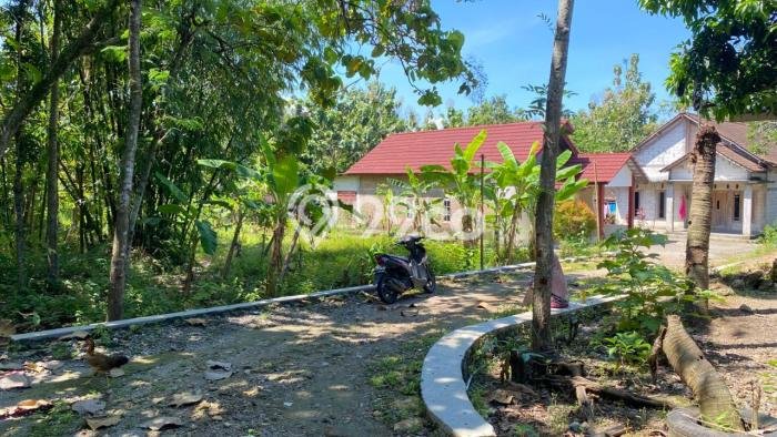 Tanah untuk Dijual Lokasi Kalijambe, Sragen Luas 202m2 - Tanah untuk Dijual Lokasi Kalijambe, Sragen Luas 202m2 -